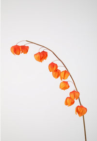 Oranje Physalis lampion - 116cm