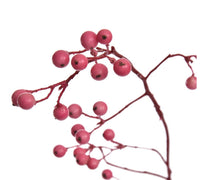 Roze Bessentak – Elegante Kunsttak van Zijde