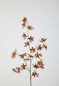 Dancing orchid 94cm