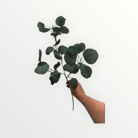 Zijden bloem - Eucalyptus blad - Bloom of life