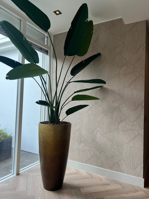 Strelitzia - kunstplant - Bloom of life