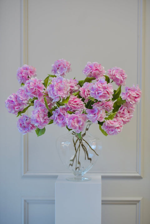 Set Hortensia's Roze - Bloom of life