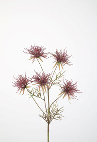 Paarse Grevillea - 74cm