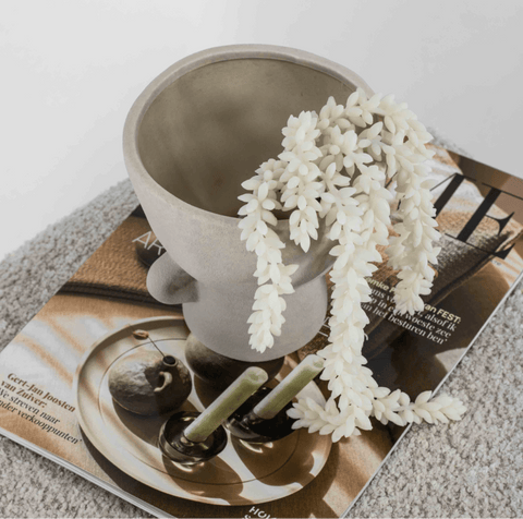 Decoratie - erwten tak - cream - Bloom of life