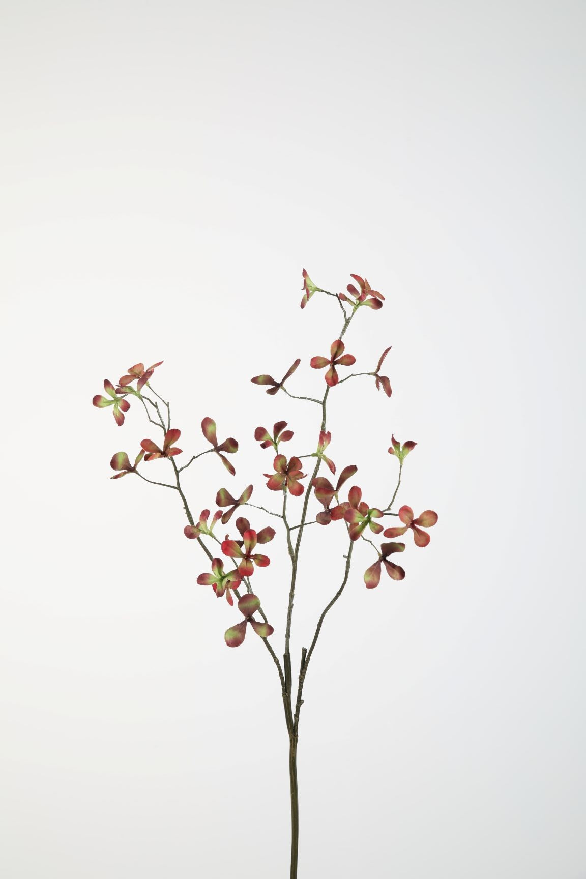 Bladtak Bordeaux/groen 84 cm