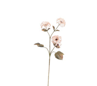 Clematis fruit 72CM pink