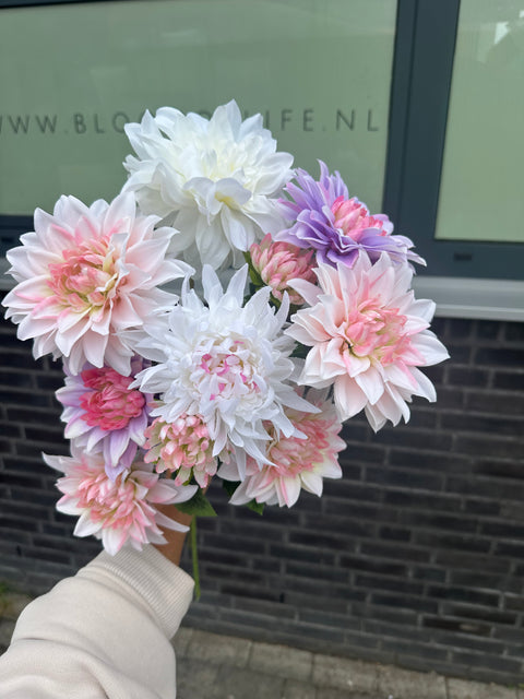Setje Dahlia’s nr 2