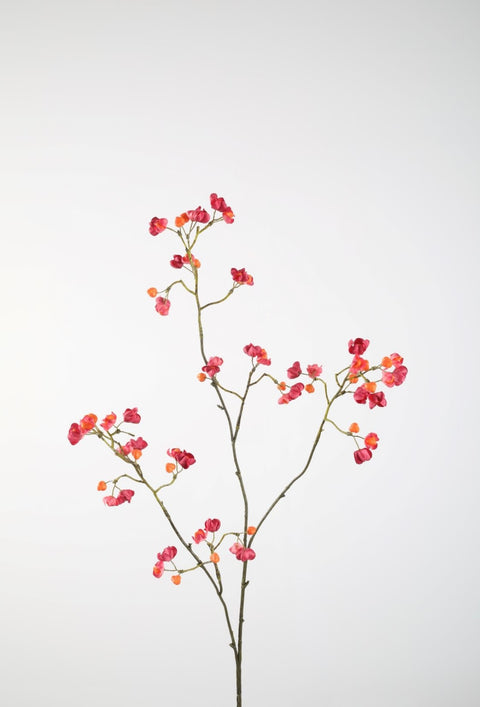 Bittersweet tak 92cm