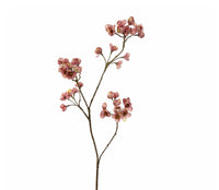 Euonymus 67CM
Pink