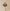 Boeket Berry Blush