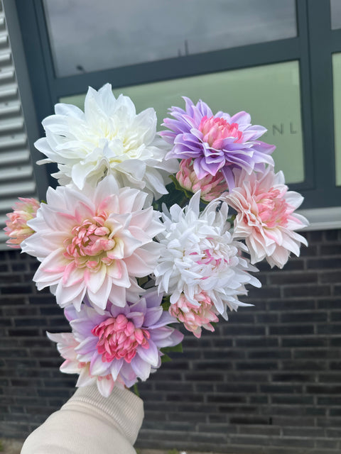 Setje Dahlia’s nr 2
