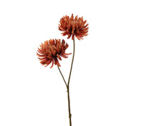 Chrysant brown 65cm