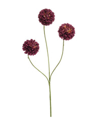 Dahlia pompon mini spray x3 burgundy 68cm