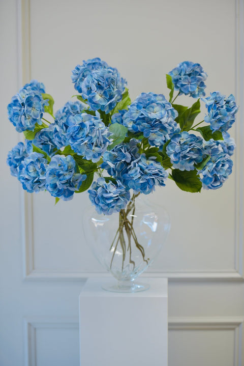 Set Hortensia's blauw - Bloom of life