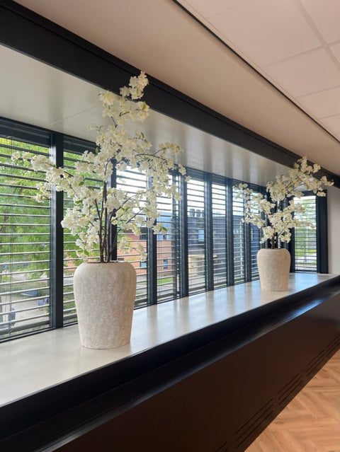 Bloesemboom - wit - 210cm - Bloom of life