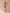 Boeket Burgundy - Bloom of Life