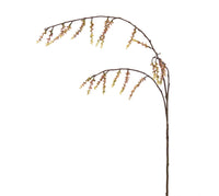 Stachyurus Spray 106CM
