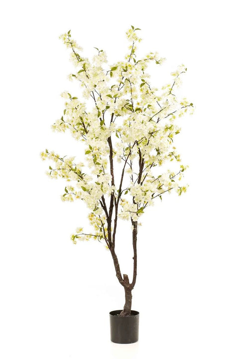 Bloesemboom - wit - 210cm - Bloom of life