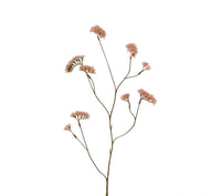 Limonium 92cm pink