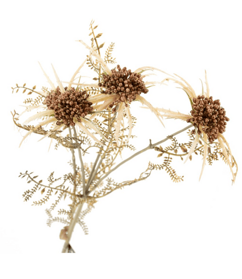 Kunstbloem - distel - beige - Bloom of life