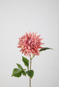 Dahlia 65cm