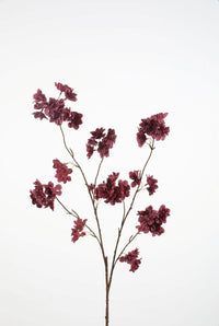Cherry Blossom burgundy 114cm