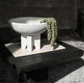 Erwten plant deco groen - Bloom of life