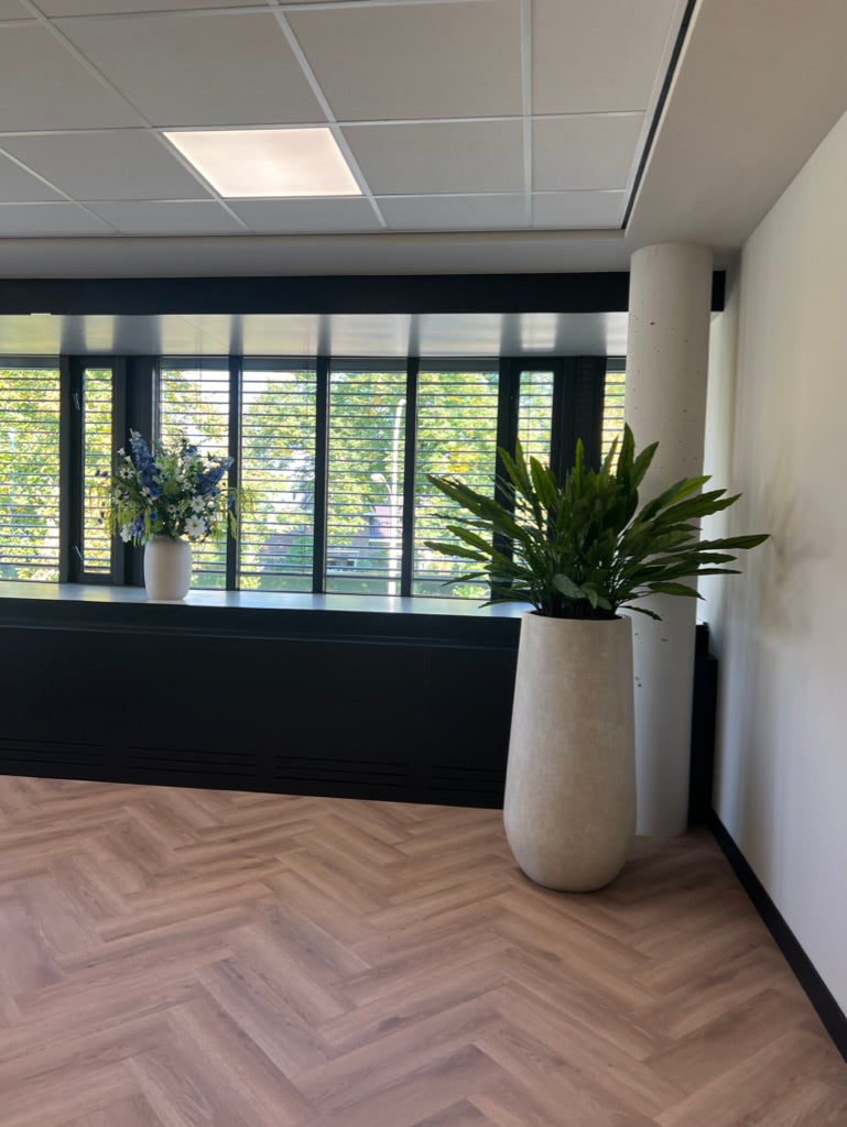 Calathea kunstplant in witte pot Now online | Bloom of life