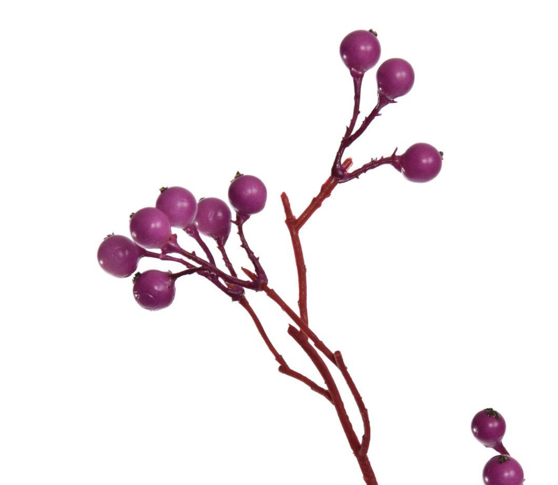 Paarse bessentak ingezoomd