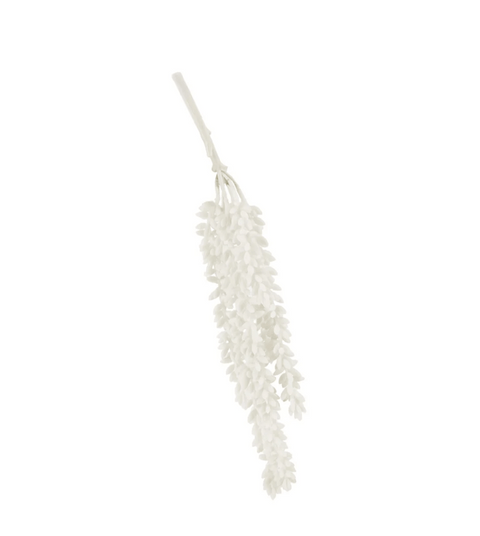 Decoratie - erwten tak - cream - Bloom of life