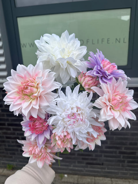 Setje Dahlia’s nr 2