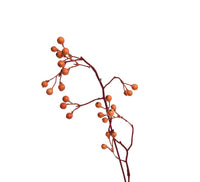 Orangje bessentak ingezoomd