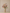 Boeket Rosy Salmon - Bloom of Life