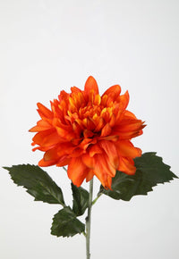 Dahlia 69cm