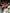 Summer sale boeket Pink/Lila - Bloom of Life