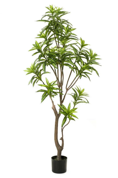 Dracaena Tree 155cm – Levensechte kunstplant voor elke ruimte