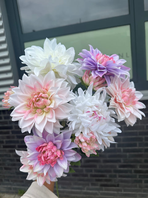 Setje Dahlia’s nr 2
