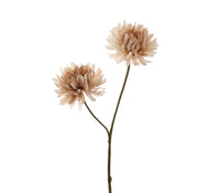 Chrysant beige 65cm