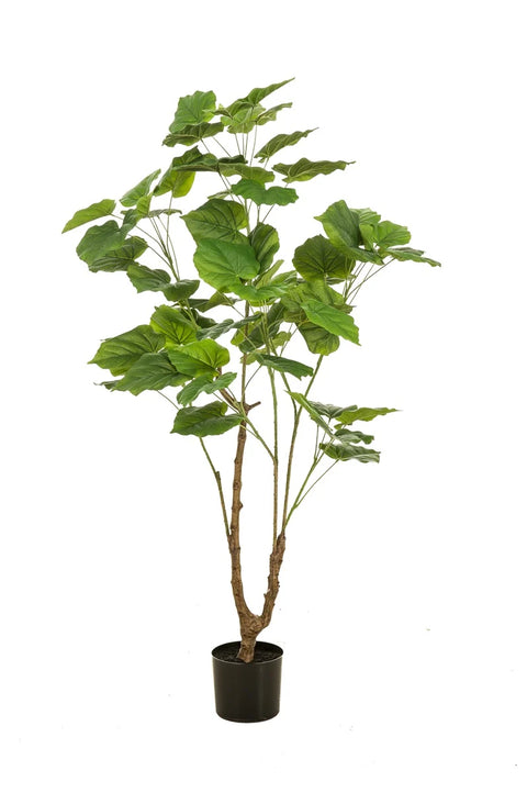 Umbellata 125cm – Levensechte kunstplant met karakter
