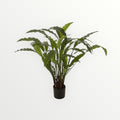 Kunstplant - Calathea - Bloom of life