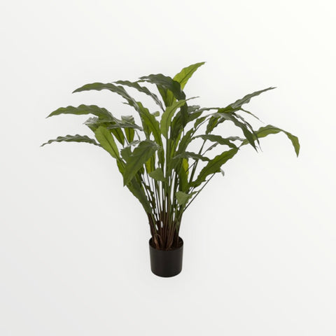 Kunstplant - Calathea - Bloom of life