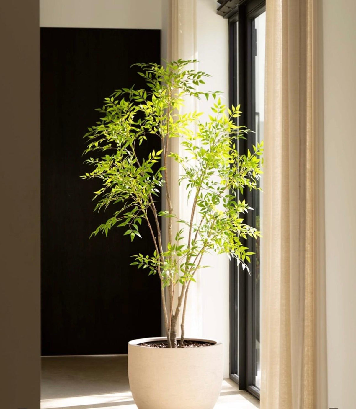 Zen Tree - Kunstplanten