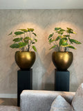 Gouden pot - Bloom of life