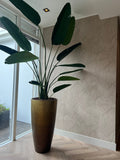Strelitzia - kunstplant - Bloom of life