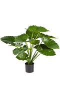 Kunstplant - Alocasia Calidora - Bloom of life