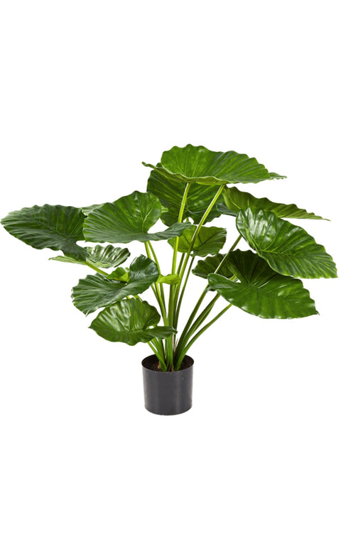 Kunstplant - Alocasia Calidora - Bloom of life