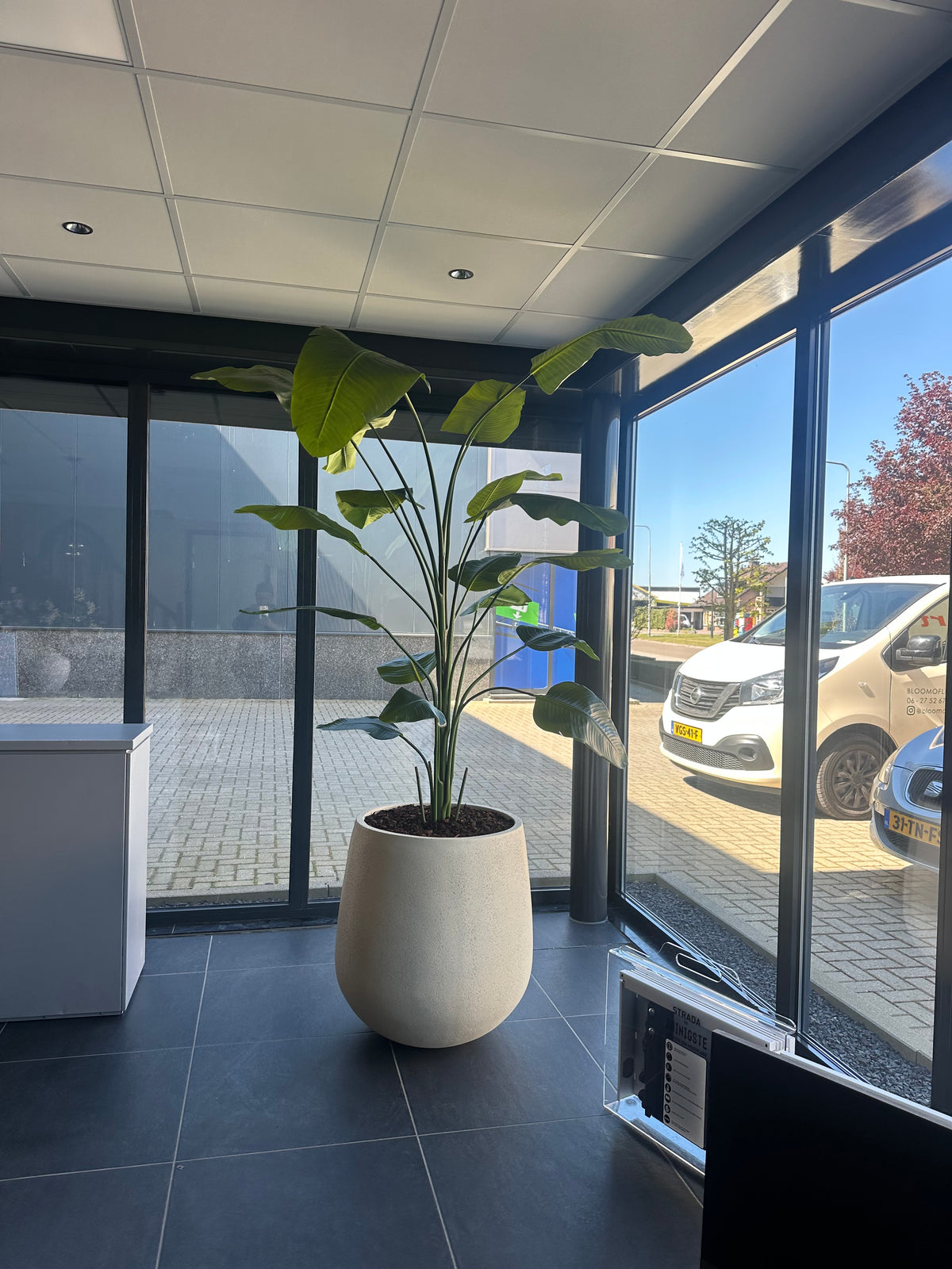 Detailopname van de levensechte bladeren van de Strelitzia kunstplant.