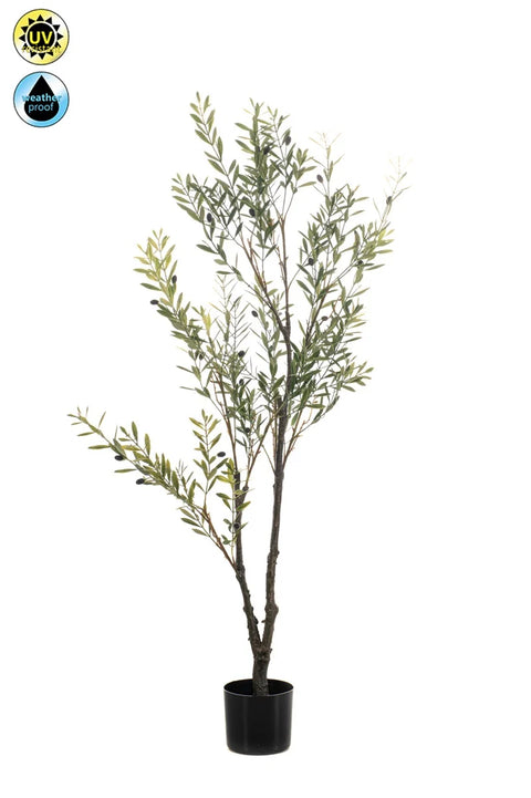 Olijfboom – Kunstplant met mediterrane charme