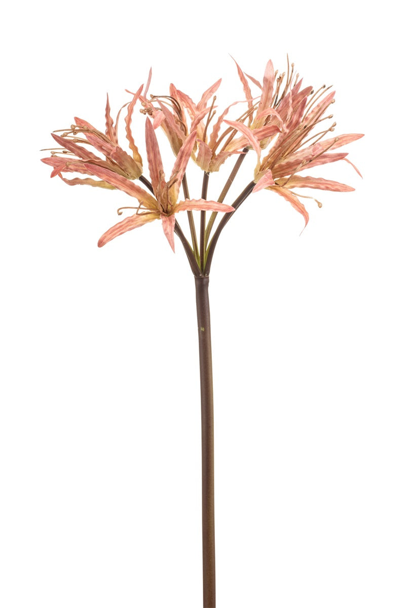 Zijden Nerine mauve – 95 cm - Bloom of Life