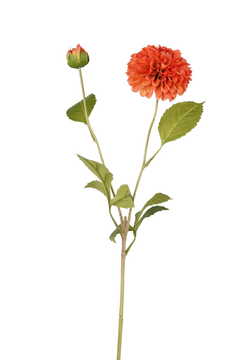 Zijden pompondahlia met knop koraal – 72 cm - Bloom of Life